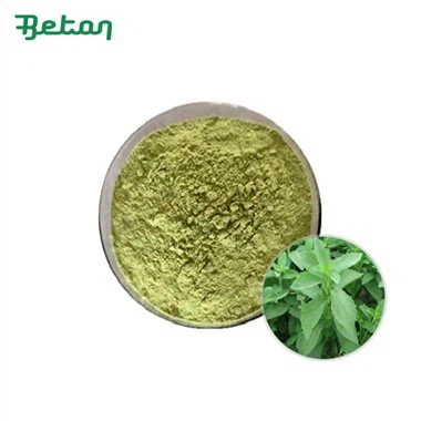 Økologisk grønt Stevia-pulver